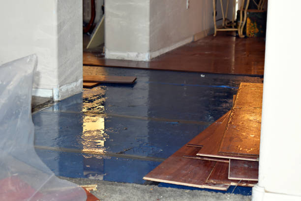 Professional Water Damage Restoration technician working in Grover Hill, OH